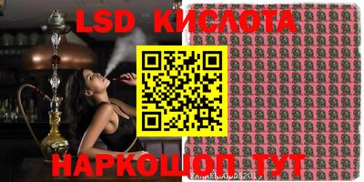 спайс Краснодар