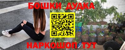 ALPHA PVP Кунгур