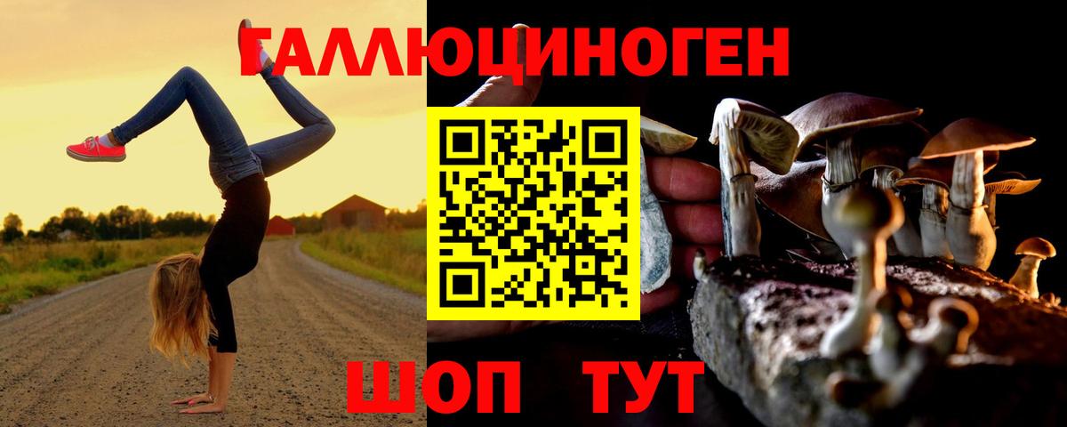 Псилоцибиновые грибы мицелий Железногорск